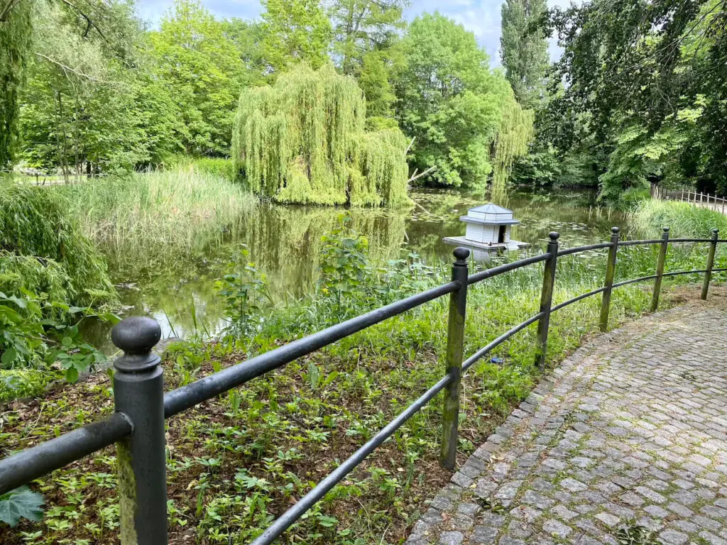 nature park pond calm